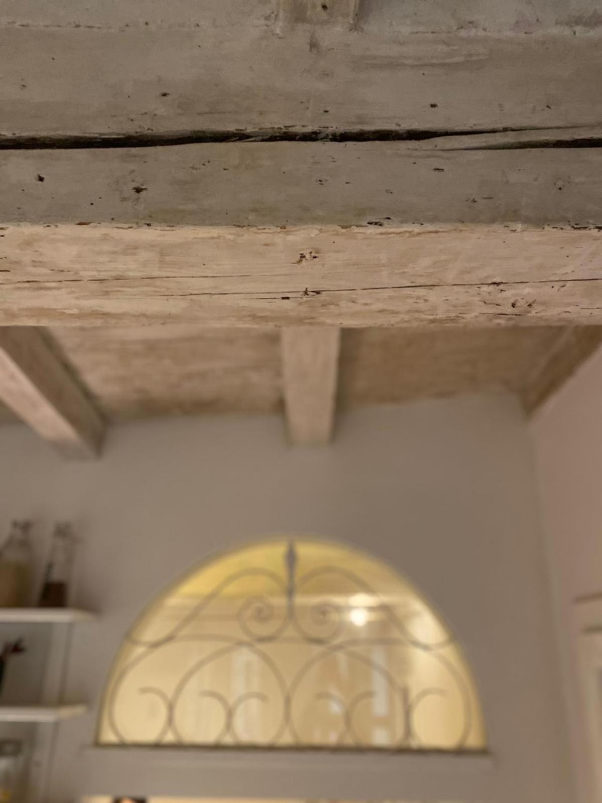 Casina Centotrecento-Romantic & Quite Apartment- ボローニャ エクステリア 写真